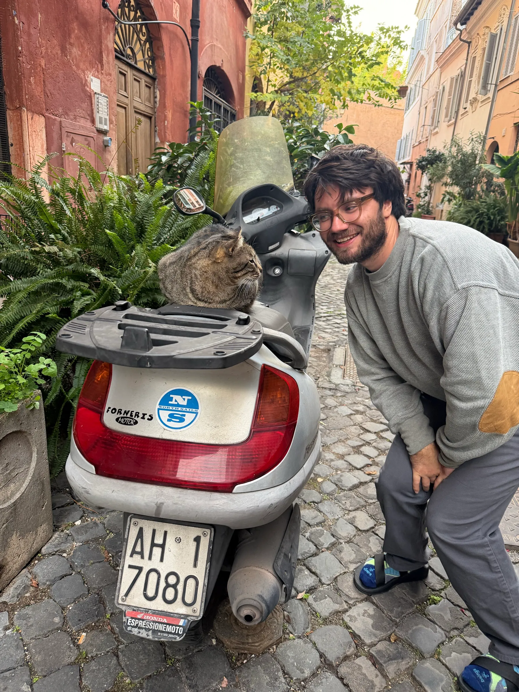 A cat on a stone wall